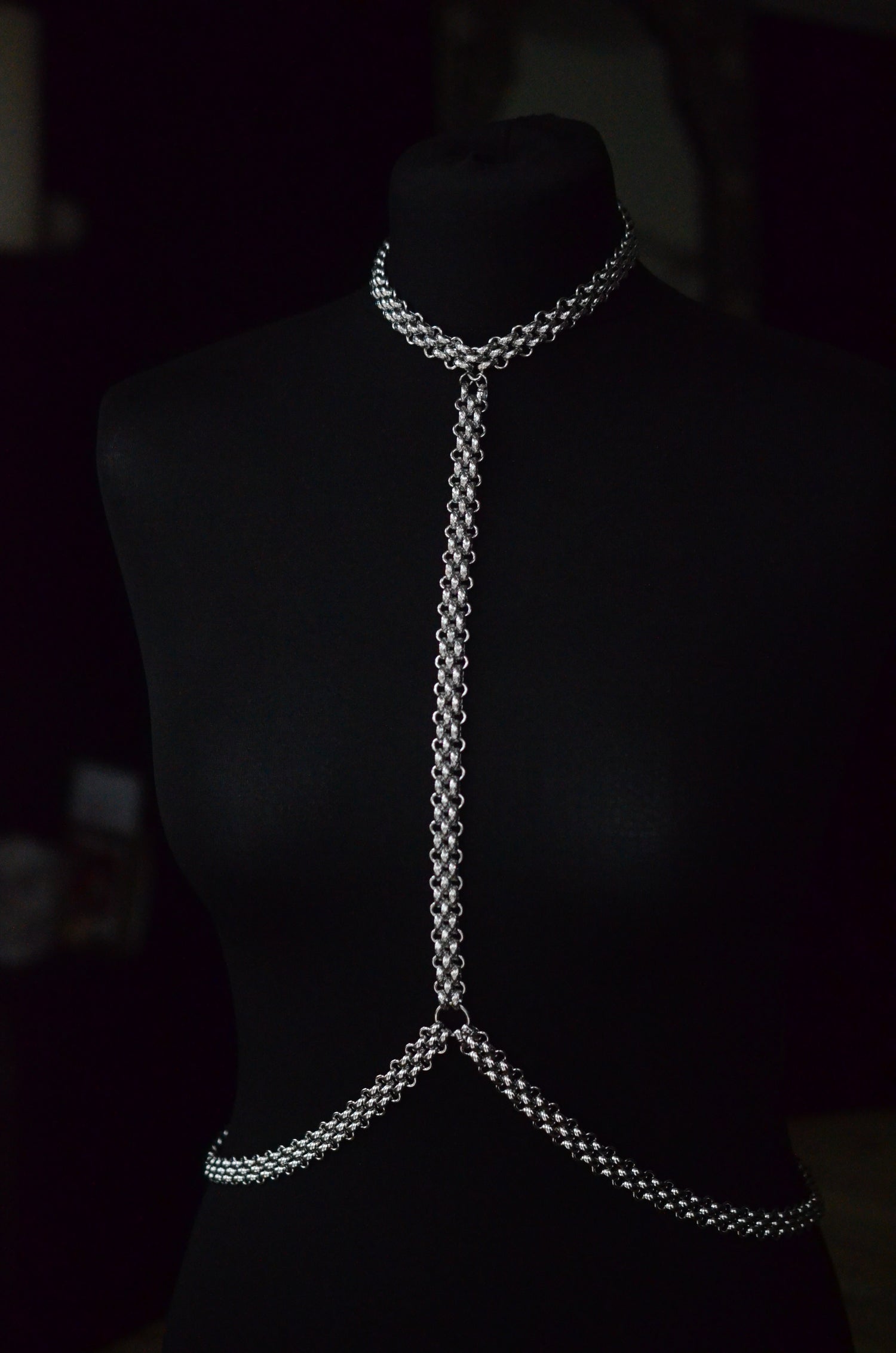 Body Harness