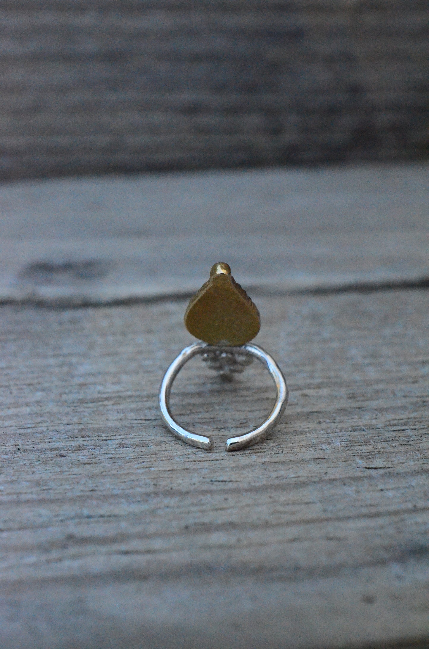 Mixed metal talisman ring